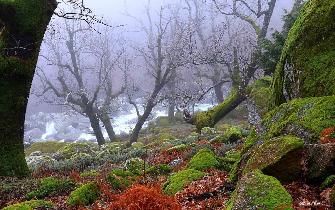 Tinao De Gredos Villa Barajas de Gredos Kültér fotó